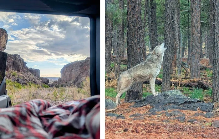 5,000 mile / 15 day camp trip from Austin to the Redwoods, other national parks (photos and report)