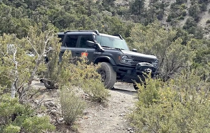 Bronco Off Rodeo at Mt. Potosi (Vegas)