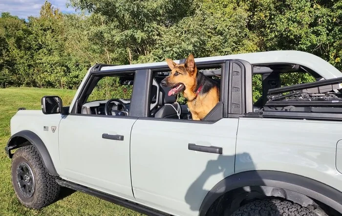 Mabett Giveaway: Bronco and Pets, Let’s Hit the Road! 🐾