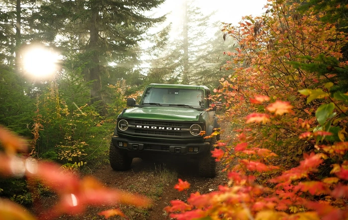 Fall in the Northwest 🍂 📸