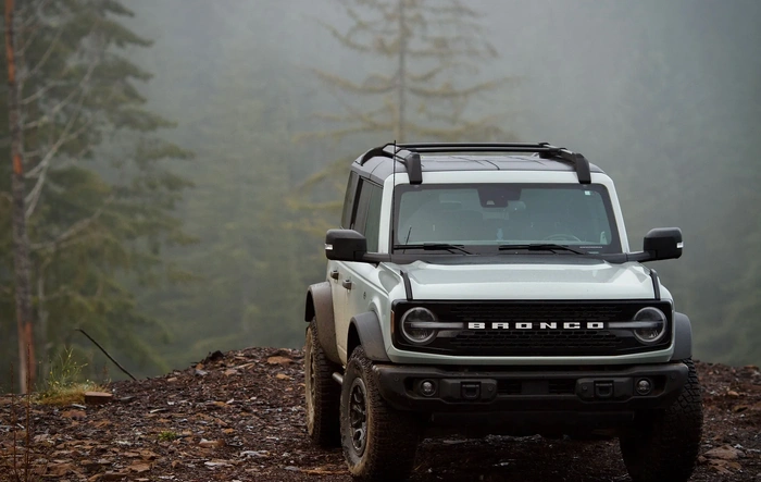 Black Friday | PNW Forest Escape