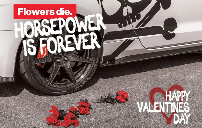 Valentine's Day Sale @ Lethal Performance || Thru 2/16