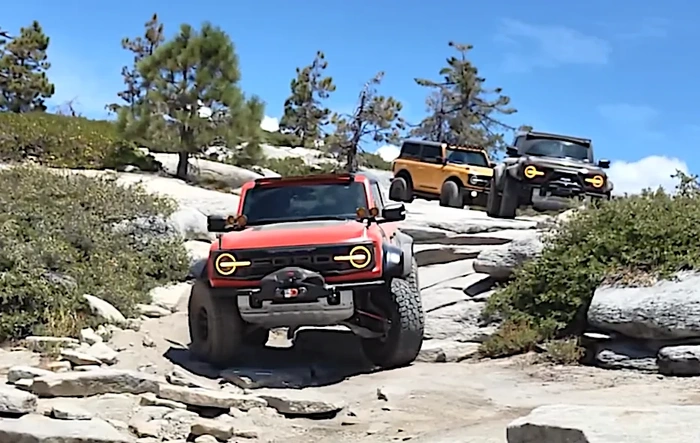 Bronco Raptors Being Taken for Granite - Near Bald Mountain