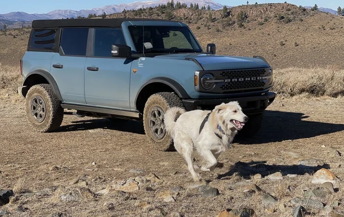 Something Happened! Sammys Bronco has me going to new places, to experience and capture again. Bronco is worth the wait!!!