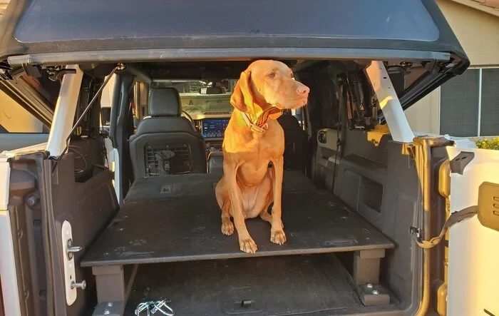 Built a rear platform for cargo, dog and sleeping