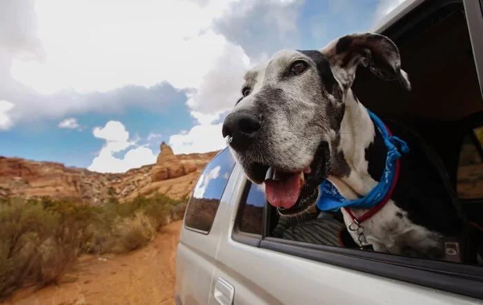 Couple Canadians head to Moab for Off-Rodeo, end up staying for 24 days/5000 miles