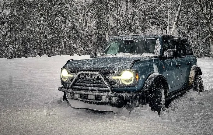 Bronco likes the Snow!!