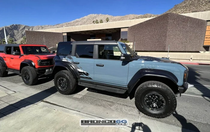 Herd of Bronco Raptors Spotted in Palm Springs