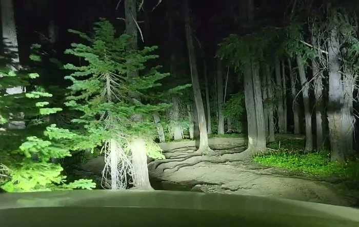 🌲Trail Turn Assist awesomeness // Night driving on SXS trail
