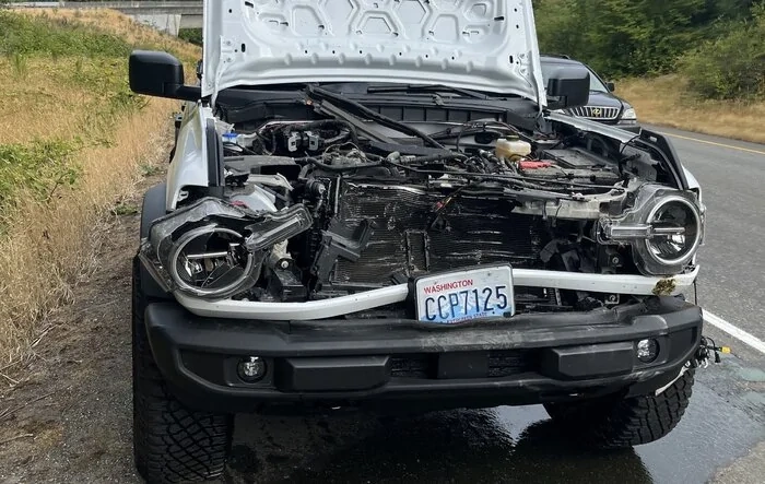 Bronco vs. Deer