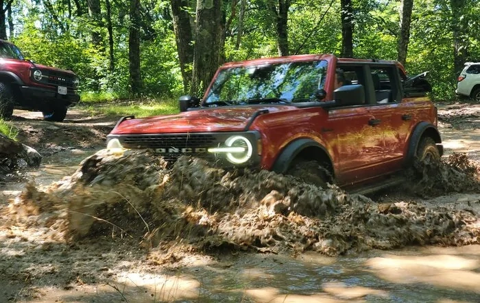 Union Springs to Flagpole Knob (Virginia) Off-Road Group Ride
