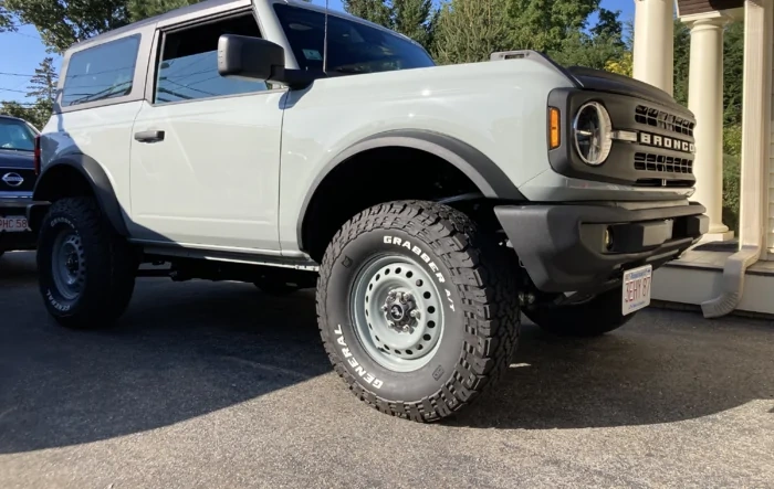 Cactus Gray Painted Steelies