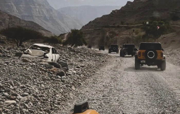 Bronco herd spotted in the UAE (Dubai)