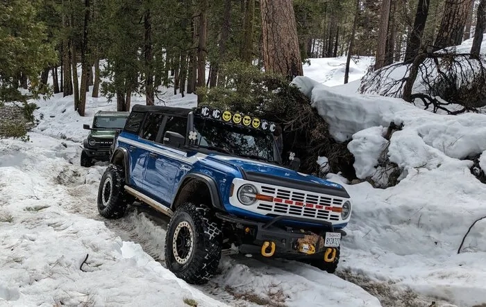 Couple of Broncos go on a snow adventure