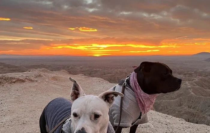 Incredible canyons and desert sunrises off-roading in Anza Borrego desert (Video)
