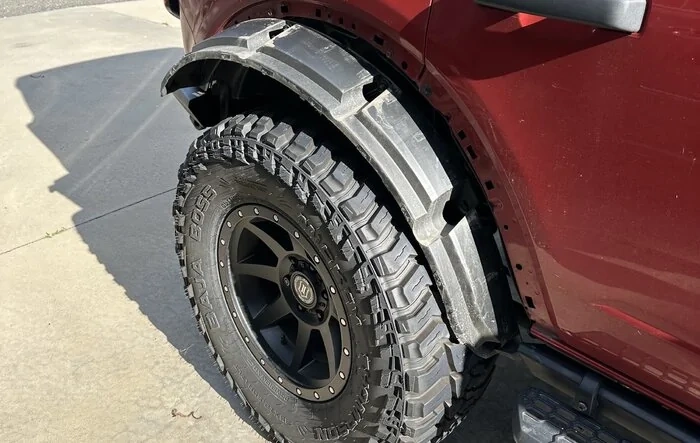 When your dogs eat your bronco