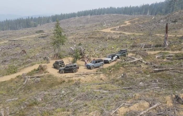 Browns Camp Trails in the Tillamook Forest, Oregon