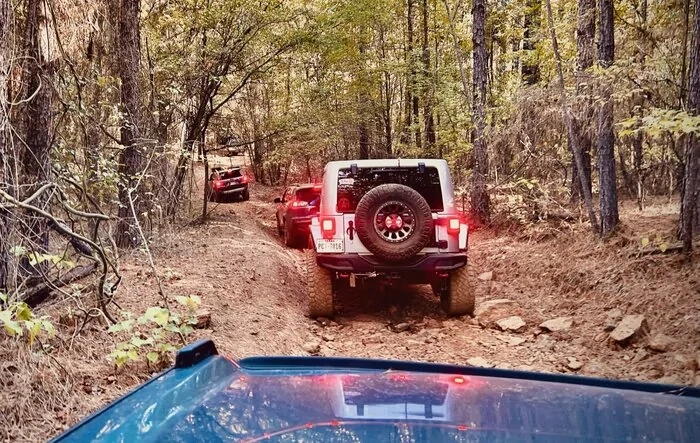 Barnwell Mountain Fall Run with Bronco Wild Fund 2023-10-14