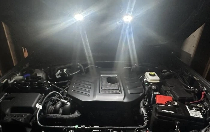 Installed lights under the hood (KC Rock Lights)
