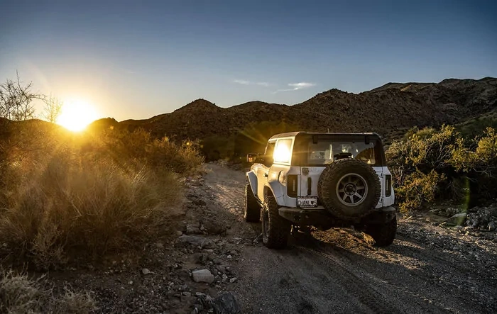 Pics and Video from Pinkham Canyon in Joshua Tree National Park