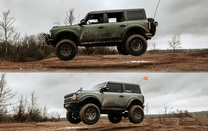 Broncos really are a jack of all trades! They can fly and crawl!
