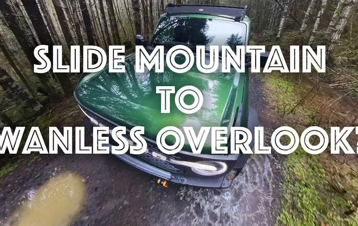 Exploring the Oregon Forest