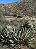 tempImageHnD8iT.webp