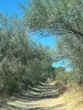 tempImageXwH1p0.webp