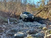 1000000573.webp