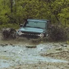 tempImageAssWNz.webp