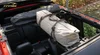 bronco 102402.webp