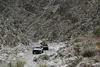 NZ6_0307 (1).webp