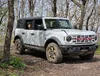 Bronco on Union Springs Road overlook.webp