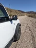 calico trail.webp