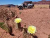20260429_123557.webp