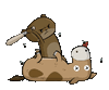 1000001848.gif