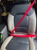 Seatbelt.webp