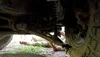 main video.00_16_14_06.Still003.webp