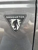 SAS badge.webp