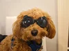 JS45m_241015_195521.webp