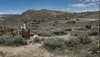bodie from graveyard.webp