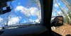 1781739318005-6i.webp