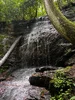 IMG_2435.webp