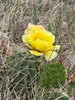 IMG_6634.webp