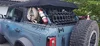 20240816_062142.webp