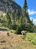 IMG_7133.webp