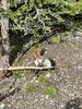 IMG_7168.webp