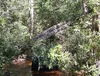 20260711_105349.webp