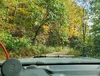20251025_143132.webp