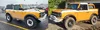 faceoff.webp